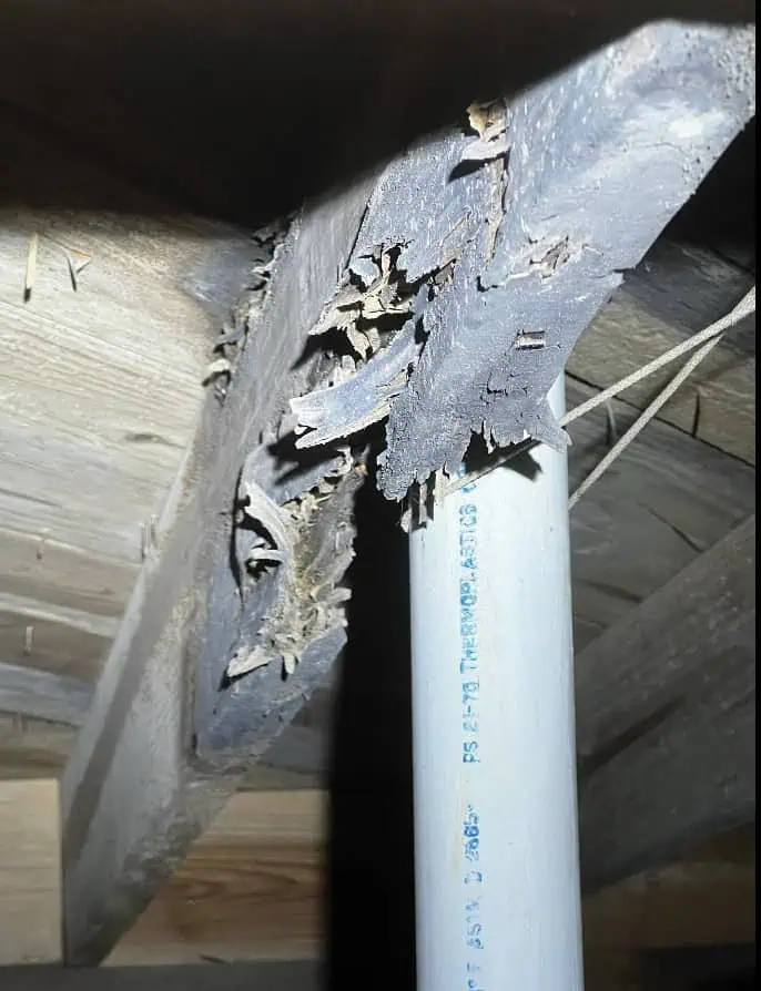 Frequently Asked Questions About Home Inspections in Dothan & Southeast Alabama 2 Screenshot 2025 10 08 at 9.54.21 PM